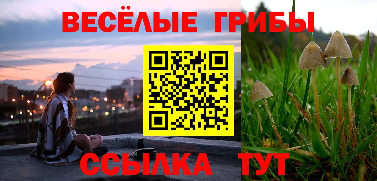 Галлюциногенные грибы мухоморы  Вход с VPN  Партизанск  Псилоцибиновые грибы ЛСД 